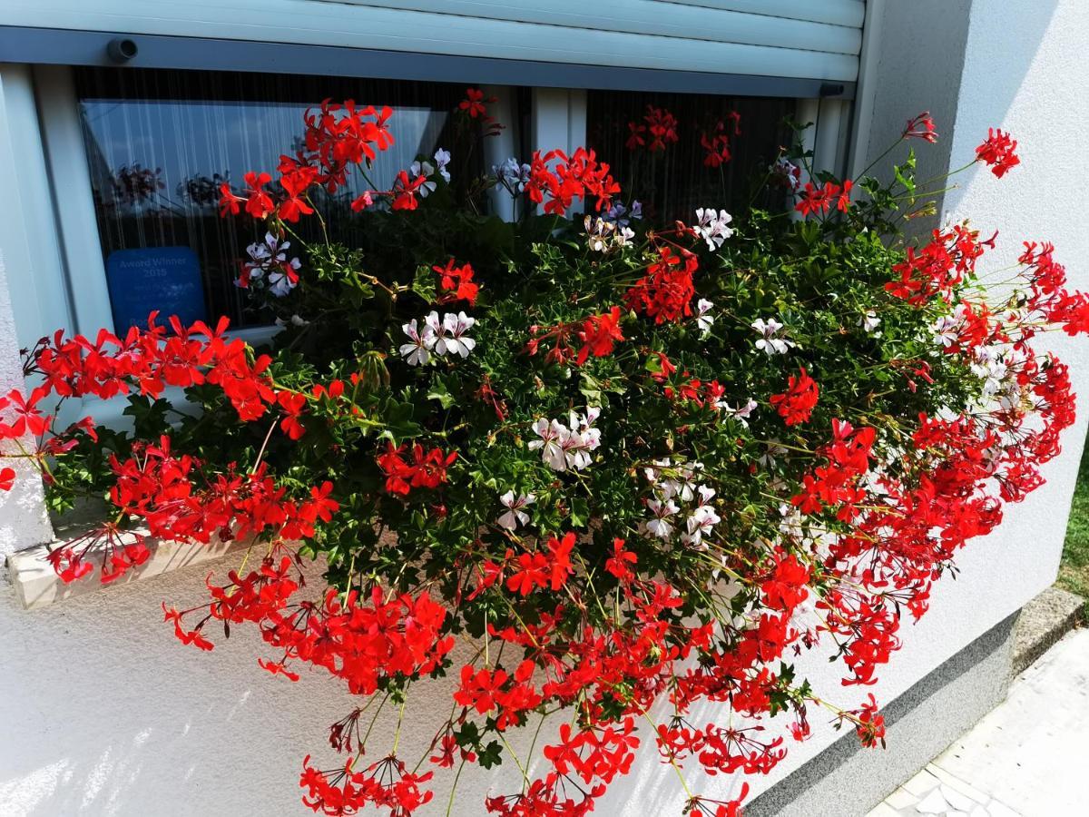 Holiday Home Bulog Sinac Εξωτερικό φωτογραφία